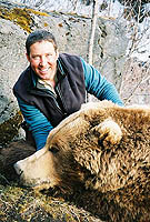 Alaska Trophy Brown Bear