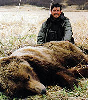 Alaska Brown Bear