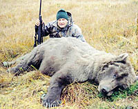 Alaska Brown Bear