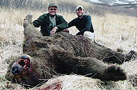 Alaska Brown Bear Hunt