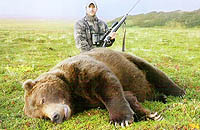 Alaska Trophy Brown Bear